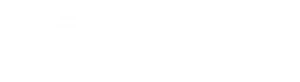 EcoFlow Vallor Tech